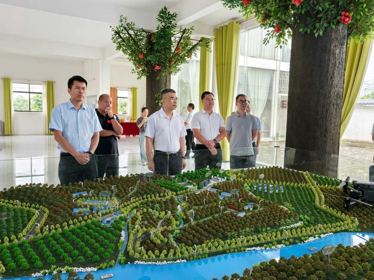 黄智宇调研钦州市灵山县人工智能应用软件开发工作 以数字技术赋能产业升级与区域发展